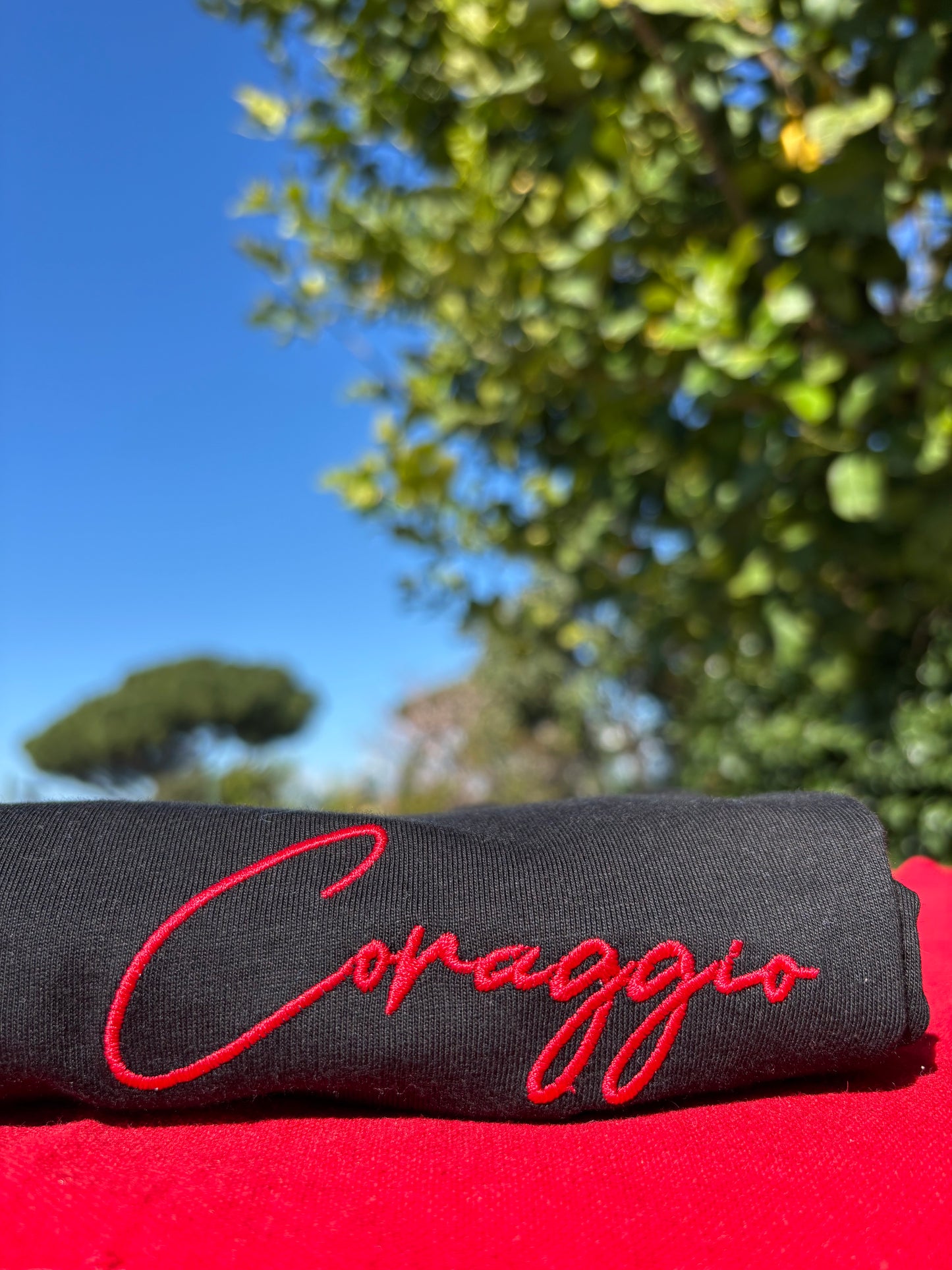 T-Shirt Coraggio- 100% Cotone organico